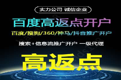 某知名企业SEM营销全案解析